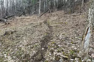 11719 Ridgeview Rd, Hokah, MN 55941 - Photo 75