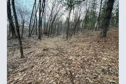 11719 Ridgeview Road, Hokah, MN 55941 - Photo 65