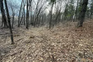 11719 Ridgeview Rd, Hokah, MN 55941 - Photo 65