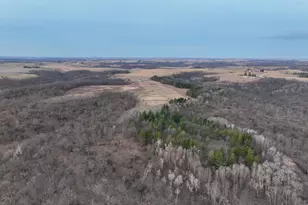 11719 Ridgeview Rd, Hokah, MN 55941 - Photo 49