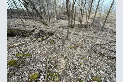 11719 Ridgeview Road, Hokah, MN 55941 - Photo 73