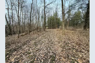 11719 Ridgeview Road, Hokah, MN 55941 - Photo 79