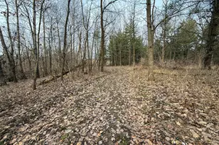 11719 Ridgeview Rd, Hokah, MN 55941 - Photo 79