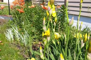 524 Irving Ave SW, Wadena, MN 56482 - Photo 7