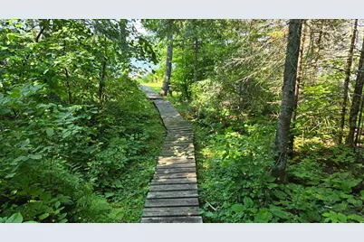 Tbd 33 Donovan Point, Orr, MN 55771 - Photo 35