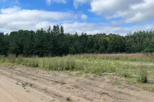 1707 Hassman Hill Tract B Road SW, Pine River, MN 56474 - Photo 1