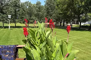 26455 State Hwy 78, Battle Lake, MN 56515 - Photo 21