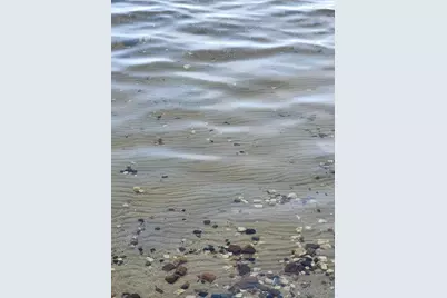 13436 Pearl Lake Drive, Detroit Lakes, MN 56501 - Photo 9