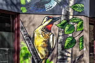 125 Ridgewood Dr, Hopkins, MN 55343 - Photo 61