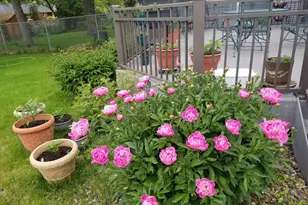 1914 Holton St, Roseville, MN 55113 - Photo 51