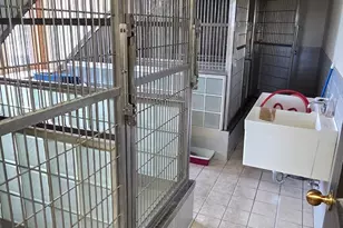 157 70 St N, Glyndon, MN 56547 - Photo 69