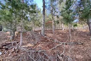 15754 S Bond Leader Lake Rd, Gordon, WI 54838 - Photo 15