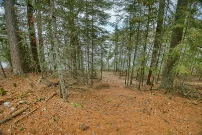 10894 Bessette Road, Orr, MN 55771 - Photo 17