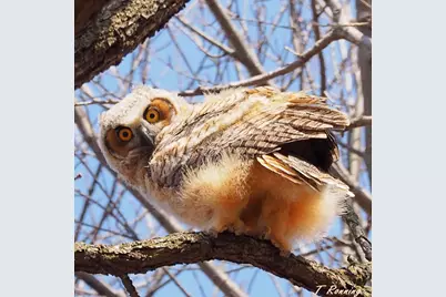 6466 Stillwater Boulevard N, Oakdale, MN 55128 - Photo 45