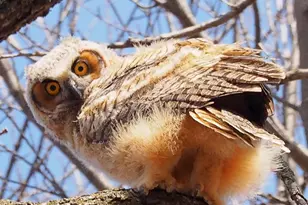 6466 Stillwater Blvd N, Oakdale, MN 55128 - Photo 45