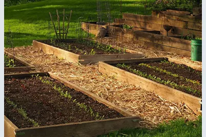 6466 Stillwater Boulevard N, Oakdale, MN 55128 - Photo 61