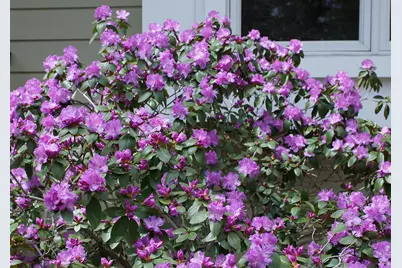 6466 Stillwater Boulevard N, Oakdale, MN 55128 - Photo 63