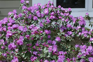 6466 Stillwater Blvd N, Oakdale, MN 55128 - Photo 63