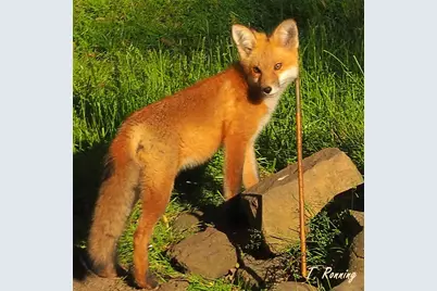 6466 Stillwater Boulevard N, Oakdale, MN 55128 - Photo 51