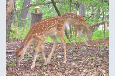 6466 Stillwater Boulevard N, Oakdale, MN 55128 - Photo 49