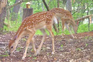 6466 Stillwater Blvd N, Oakdale, MN 55128 - Photo 49