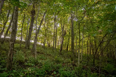 32765 County Road 1, La Crescent, MN 55947 - Photo 5