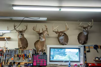 32979 County Road 1, La Crescent, MN 55947 - Photo 51