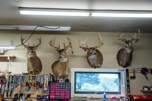 32979 County Rd 1, La Crescent, MN 55947 - Photo 51