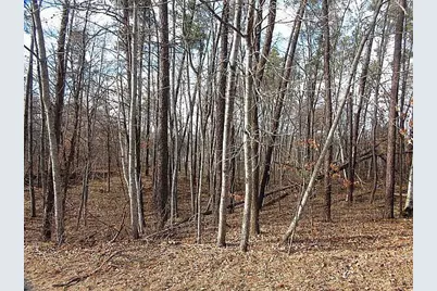 Tbd Summer Drive, Breezy Point, MN 56472 - Photo 7