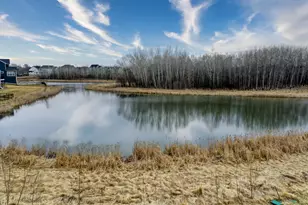 13301 Fondant Trail N, Hugo, MN 55038 - Photo 11