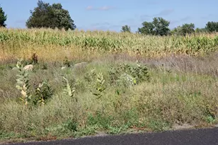 1141 178th St /Dalton Farm Road Lot 19, Hammond, WI 54015 - Photo 1