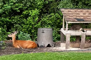 17990 Nixon Dr NW, Elk River, MN 55330 - Photo 59