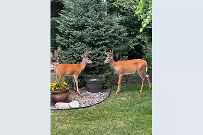 17990 Nixon Drive NW, Elk River, MN 55330 - Photo 55