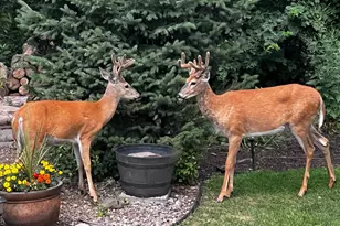 17990 Nixon Dr NW, Elk River, MN 55330 - Photo 55