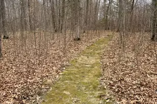 6818 18th Ave NW, Walker, MN 56484 - Photo 83