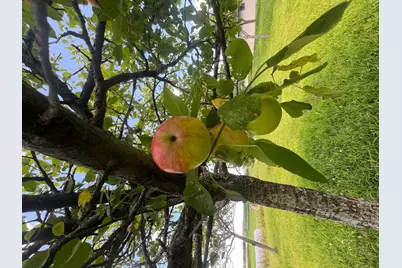 23685 County Road H, Shell Lake, WI 54871 - Photo 15