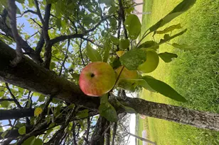 23685 Co Rd H, Shell Lake, WI 54871 - Photo 15