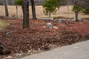 291 Silo Heights Dr, Wadena, MN 56482 - Photo 51