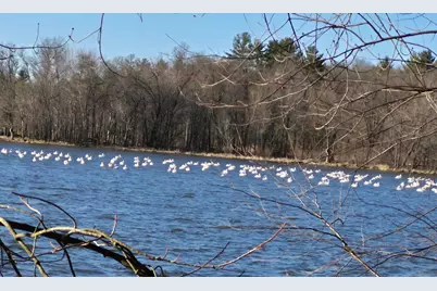 E6341 County Road D, Colfax, WI 54730 - Photo 13