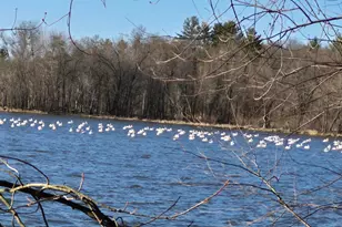 E6341 County Rd D, Colfax, WI 54730 - Photo 13