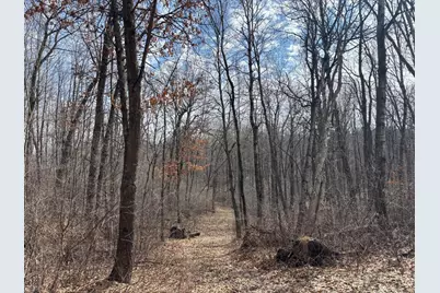 County Road M County Road M, Osceola, WI 54020 - Photo 3
