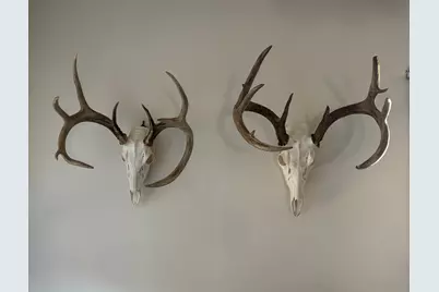 County Road M County Road M, Osceola, WI 54020 - Photo 15