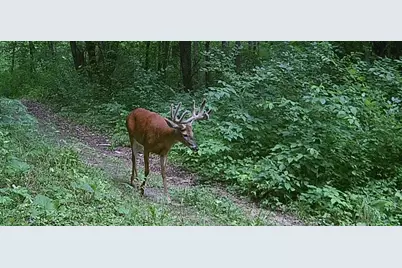 County Road M County Road M, Osceola, WI 54020 - Photo 11