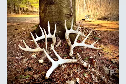 County Road M County Road M, Osceola, WI 54020 - Photo 1