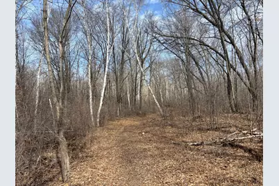 County Road M County Road M, Osceola, WI 54020 - Photo 7