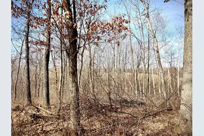 County Road M County Road M, Osceola, WI 54020 - Photo 5