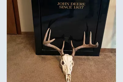 County Road M County Road M, Osceola, WI 54020 - Photo 17