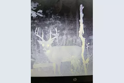 County Road M County Road M, Osceola, WI 54020 - Photo 13