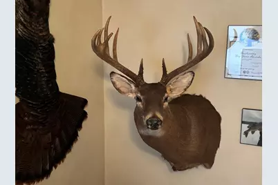 County Road M County Road M, Osceola, WI 54020 - Photo 9