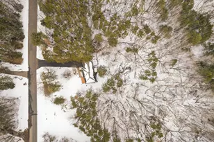 14359 Hyde Ave N, Hugo, MN 55038 - Photo 7